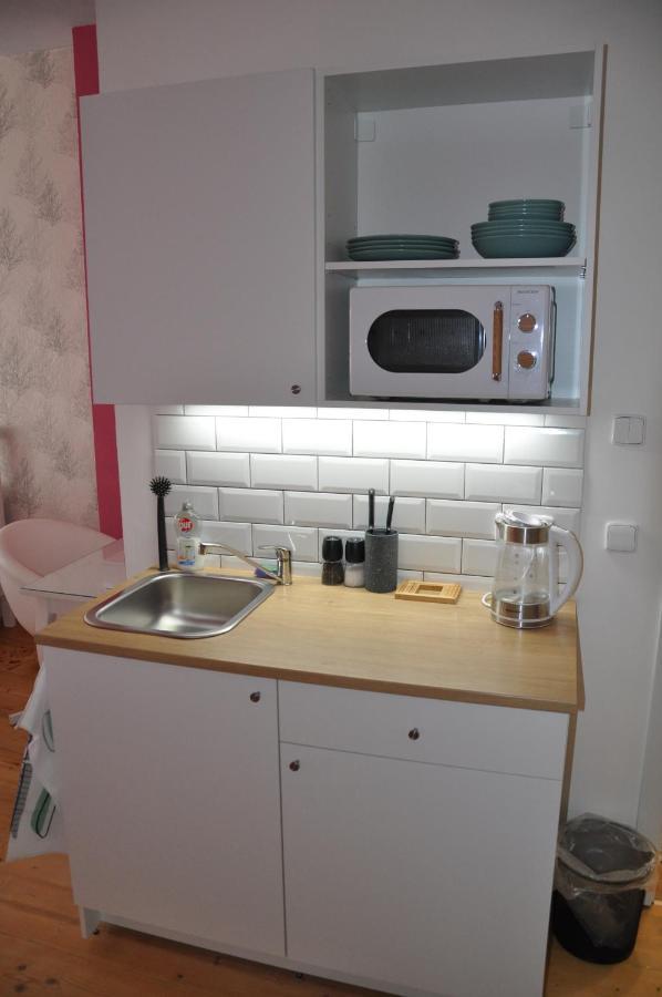 ליטומיסי Apartman U Vaclava V Centru Mesta מראה חיצוני תמונה